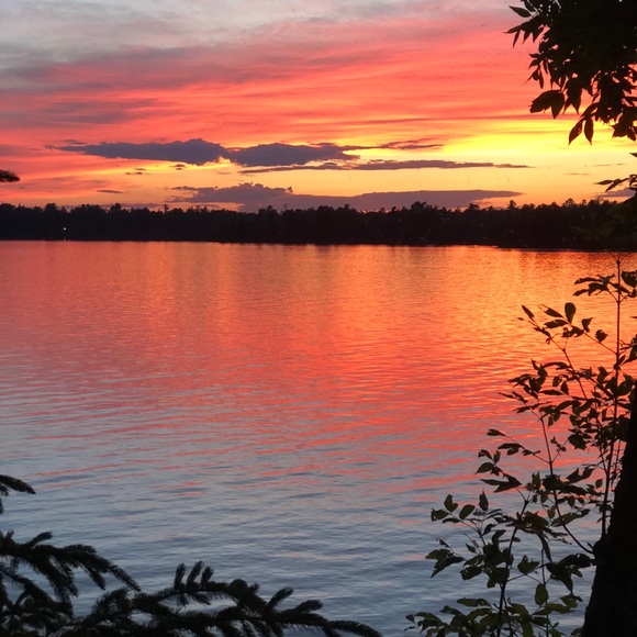 Meet your Posher, Anni - Picture 1 of 1